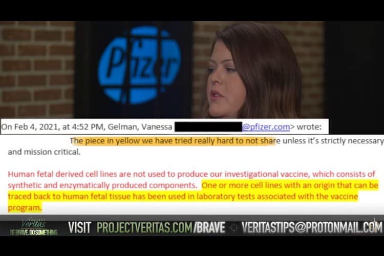 Pfizer Executives Hiding Role of Aborted Fetal Tissue in Development of Vaccine