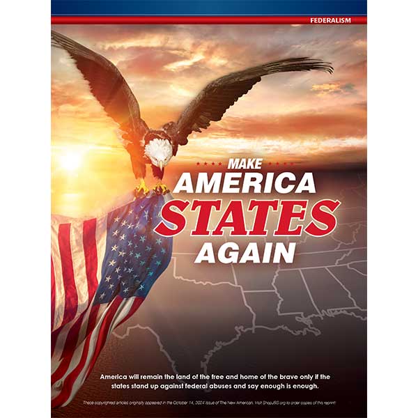 Make America STATES Again reprint