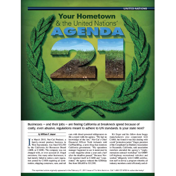 DOWNLOAD - Your Hometown and the United Nations' AGENDA 21  reprint