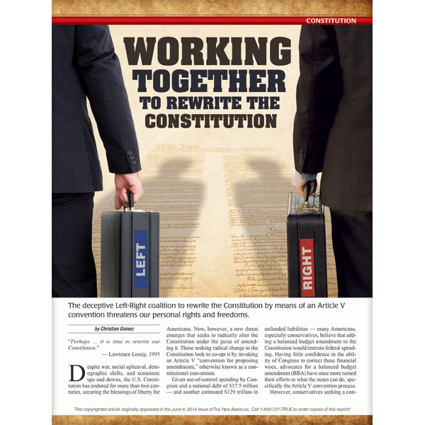 Working Together to Rewrite the Constitution reprint