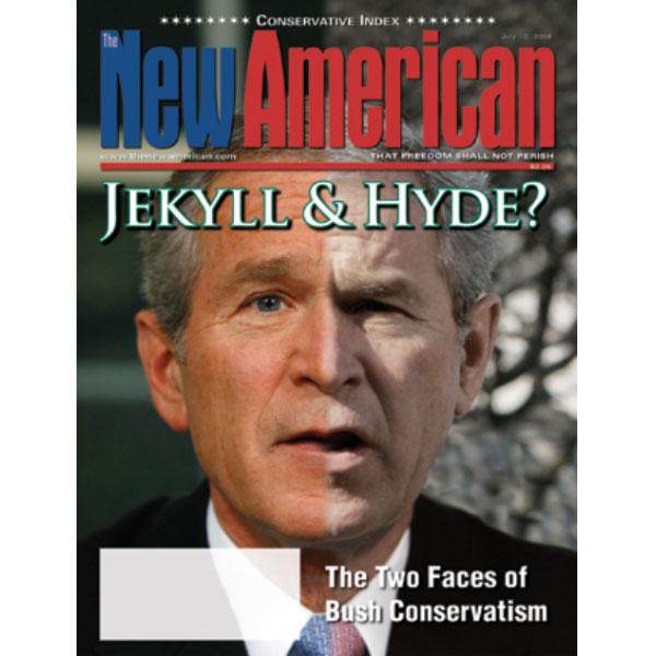 The New American - July 10, 2006