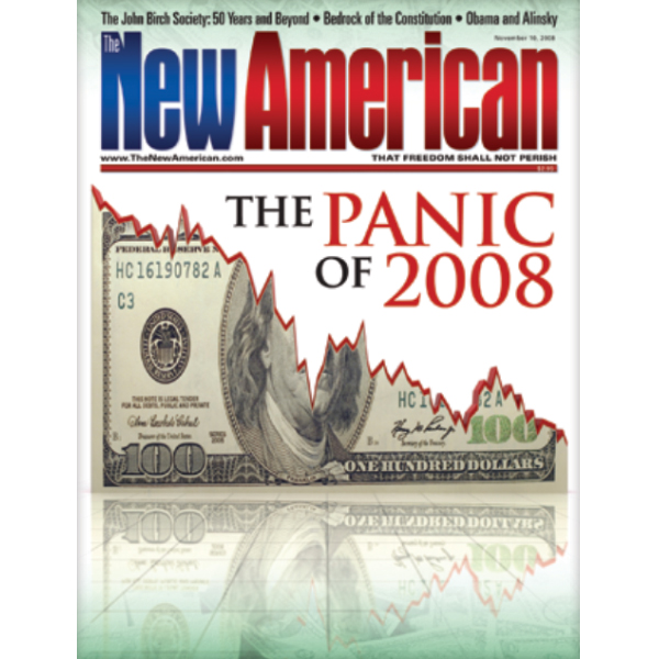 The New American - November 10, 2008