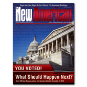 The New American - November 22, 2010