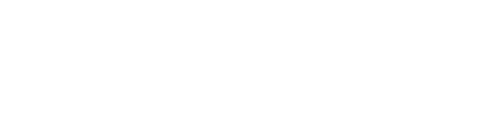 The New American logo